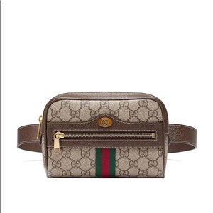 ⛔️SOLD⛔️ Gucci Ophidia Belt Bag